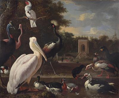 unknow artist A Pelican and other exotic birds in a park